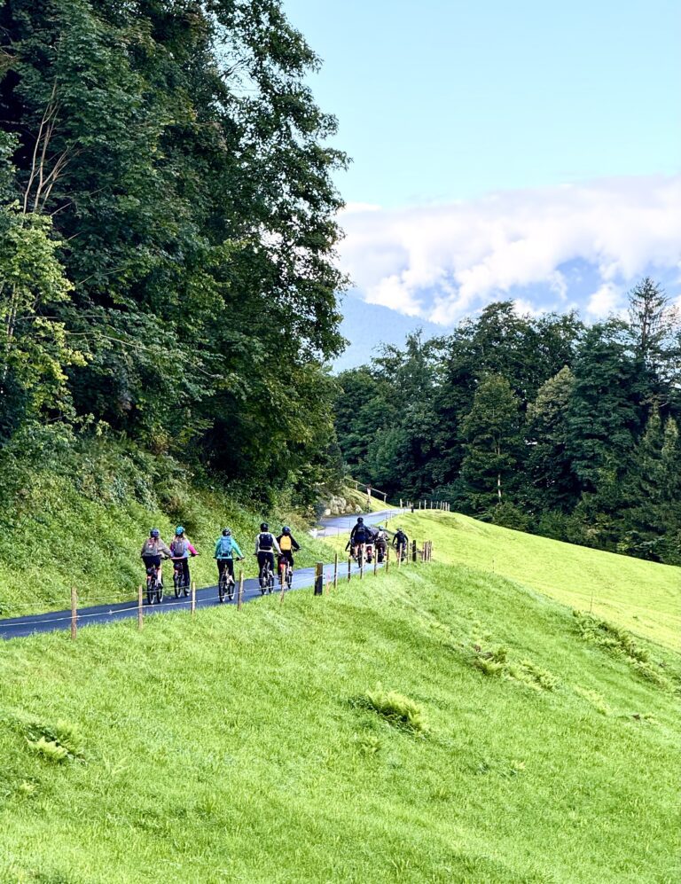 Group of cyclists on an e-bike tour from Interlaken riding along a scenic forest trail to Giessbach Waterfalls