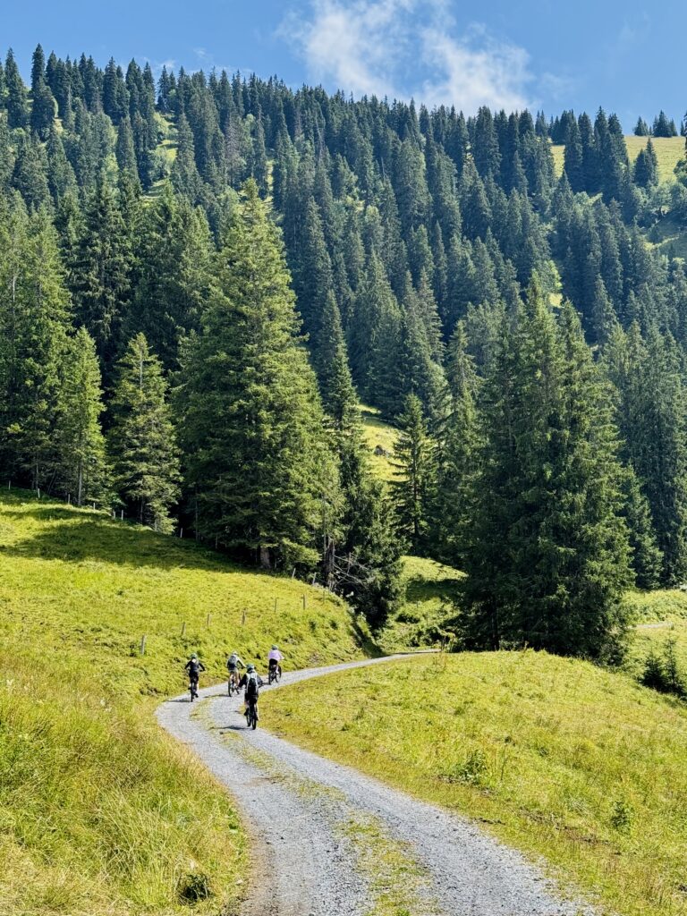 Habkern valley near Interlaken