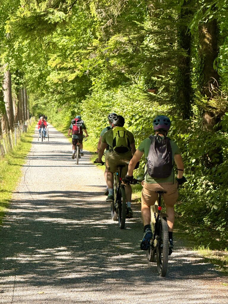 Cycling group riding through forest on Interlaken E-bike Tour