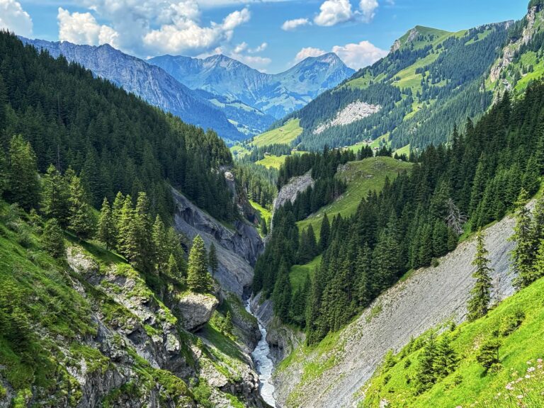 Panoramic view of the Griesalp UNESCO Alpine Valley with deep gorges, forests and Swiss Alps peaks in Kiental, Switzerland.