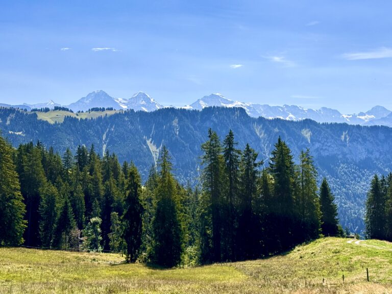 Mountain views in the Jungfrau region during an Interlaken E-bike tour