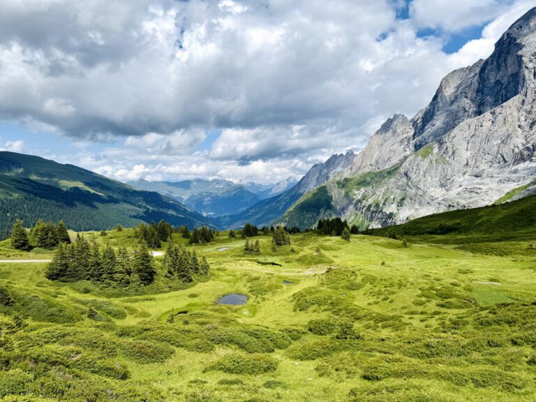 Rosenlaui Valley E-bike Tour from Interlaken in the Swiss Alps