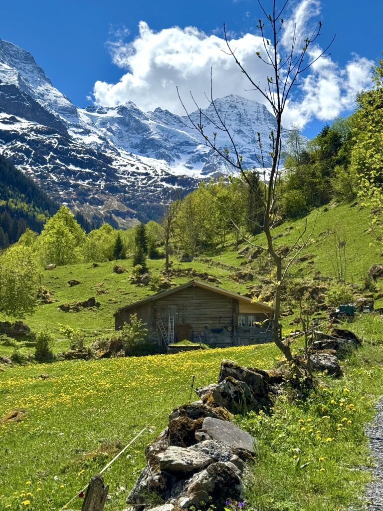 Traditional Swiss chalet in Lauterbrunnen Valley with alpine mountain views.